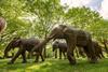 Savills Elephant Herd Green Park
