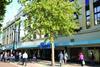 Coveted in Croydon: Allders' flagship department store where a 1m sq ft redevelopment is planned