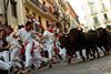 bull running through street