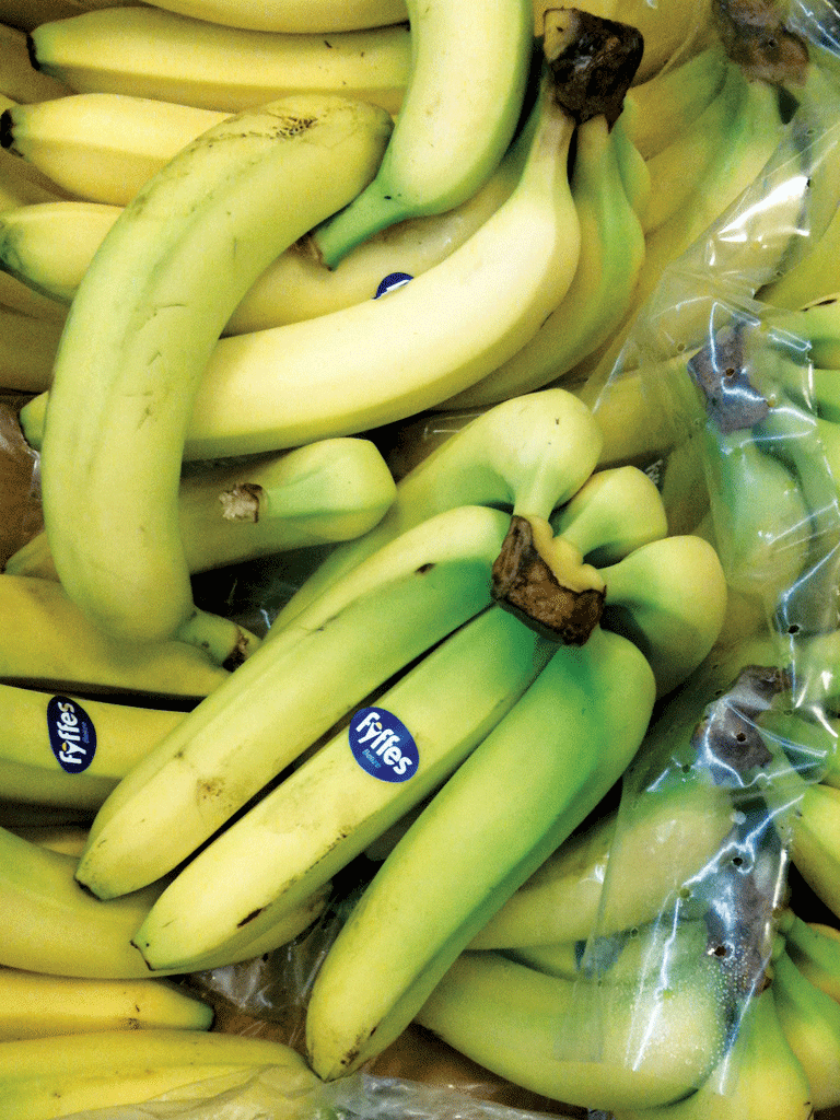 Fyffes Bananas